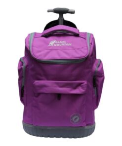 2 Wheel Trolley Backpack with Telescopic Handle and Hard Base For School - Purple