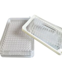 200 Holes Pharmaceutical Capsule Pill Filling Machine - Transparent