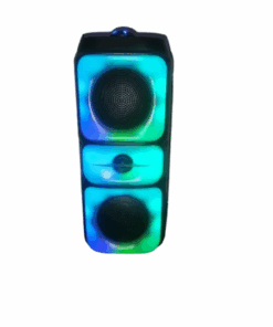 2000 W Karaoke Portable Party Speaker