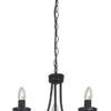 3 Light Simple Black Chandelier