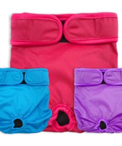 3 Pieces Dog Diapers Female