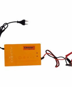 30A Intelligent Pulse Charger 12V