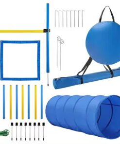 38-Piece Dog Training Agility Set