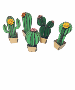 3D Wood Cactus