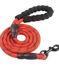 3m Puppy Lead