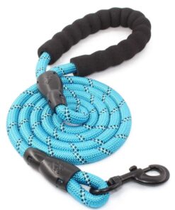 3m Strong Dog Lead - Blue