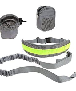 4 in 1 Hands Free Dog Leash