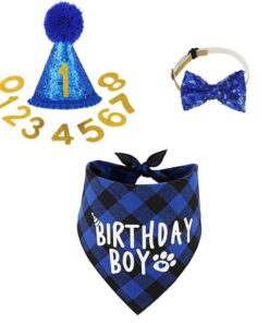 4 Piece Cute Dog Birthday Suit