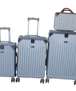 4-Piece Silver ABS Luggage Set with Spinner Wheels & Vanity Case