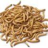 500g Dried Mealworms