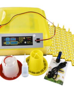 56 Egg Dual Voltage Automatic Incubator and 154 Quail Egg Combo