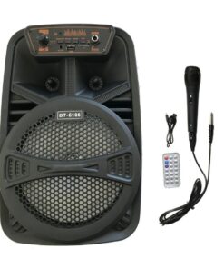 6.5" BT Radio Speaker With Microphone
