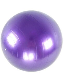65cm Anti-Burst Gym and Yoga Ball - Purple