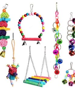 7 Piece Parrot Bird Colourful Fun Interactive Play Toy Set