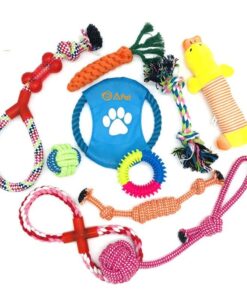 A-Pet Dog Chew Rope 10 Toy Value Pack Small & Medium Breeds & Puppies
