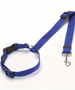 Adjustable Dog / Cat Safety Seat Belt Strap - Blue