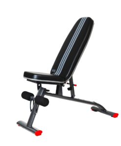 Adjustable Dumbbell Weight Bench - 250KG Safe