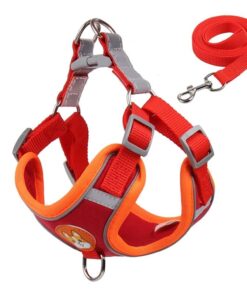 Adjustable Reflective Dog Harness with Leash for Small to Medium dogs - Red - L