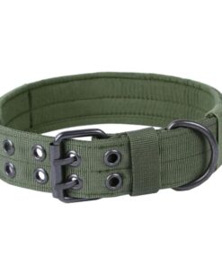 Adjustable Tactical Nylon Dog Training Collar with Metal Buckle - Green