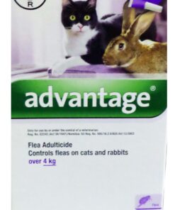 Advantage - Cat Over 4kg Purple - For Ticks & Fleas