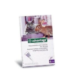 Advantage Large Cats 4x0.8ml (4kg plus) Purple