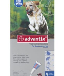 Advantix Extra Large Dog - 4 x 4.0ml