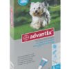 Advantix Medium Dog 1.0ml - 4 pipettes - 4-10kg - Turquoise