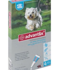 Advantix Medium Dog 1.0ml - 4 pipettes - 4-10kg - Turquoise