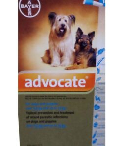Advocate - Dog 4-10kg Turquoise- Ticks & Fleas