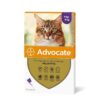Advocate Large Cat 3 x 0.8ml - (4kg+) - Purple