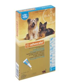 Advocate Medium Dog 3x1.0ml (4-10kg) - Turquoise
