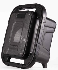 Aiwa Outdoor Party Speaker