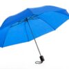 Alice Umbrellas 2 Fold Mini Compact - Royal