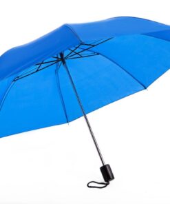 Alice Umbrellas 2 Fold Mini Compact - Royal