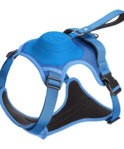 All-In-One Dog Harness & Retractable Leash -XL - Blue