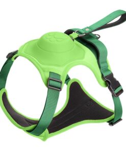 All-In-One Dog Harness & Retractable Leash -XL - Green