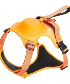 All-In-One Dog Harness & Retractable Leash -XL - Orange