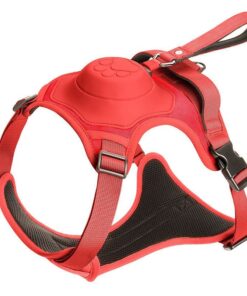 All-In-One Dog Harness & Retractable Leash -XL - Red