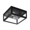 Amezola Ceiling Light Black E27 2x40w