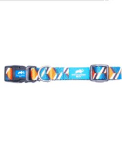 Animal Planet Pattern Collar Orange - L