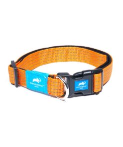 Animal Planet Premium Padded Collar - Orange - L