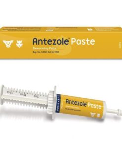 Antezole Deworming Paste (Dogs&Cats) 15ml