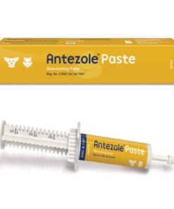 Antezole - Deworming Paste For Cats And Dogs - Pack Of 2
