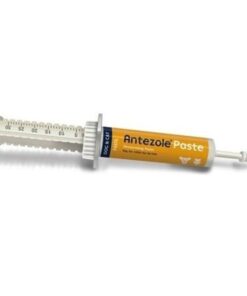 Antezole Paste 30ml