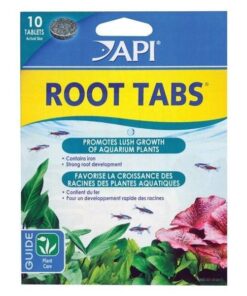 API Root Tabs 10 Piece