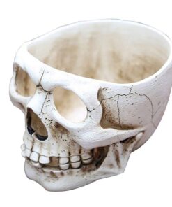 Artificial Skull Head Resin Flower Pot