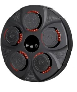 ASC Focus Boxing Target wall- Mounted for kids & Adults Home Gym Punching