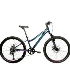 Avalanche Cosmic Disc