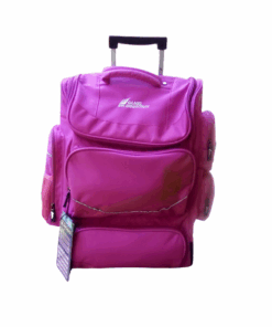 Back to School Camel Mountain School Bag (big) -Pink
