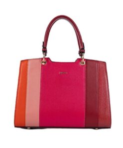 BAGCO Multi-Coloured Bag - B0132A71MCHA1
